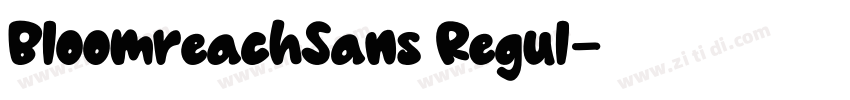 BloomreachSans Regul字体转换
